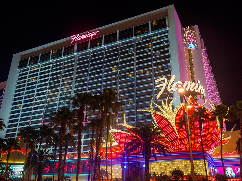 Flamingo Casino on the Vegas Strip